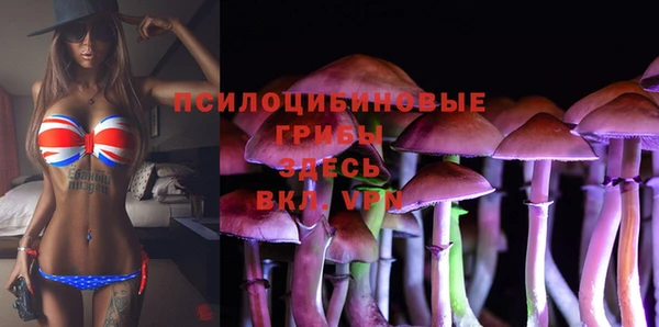 мяу мяу кристалл Елизово
