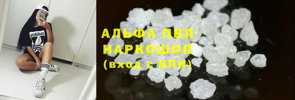 твердый Шадринск