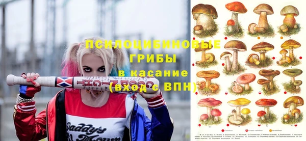 дмт Елабуга