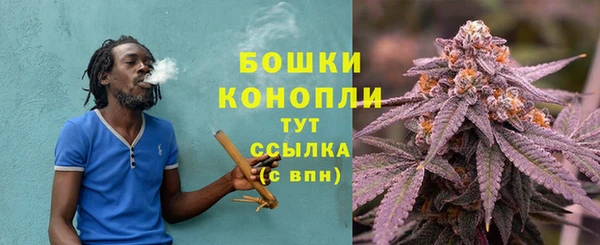 мяу мяу мука Шали