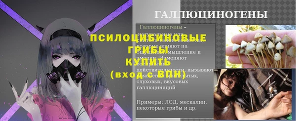 МДМА Ельня