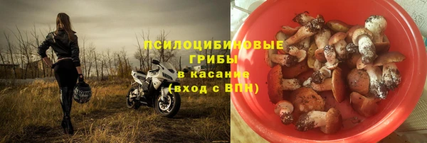 МДМА Ельня