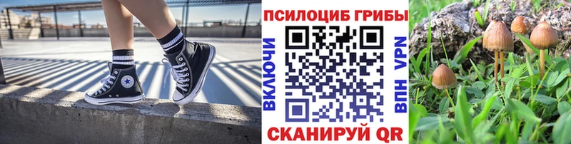 Псилоцибиновые грибы MAGIC MUSHROOMS  хочу наркоту  Сураж 